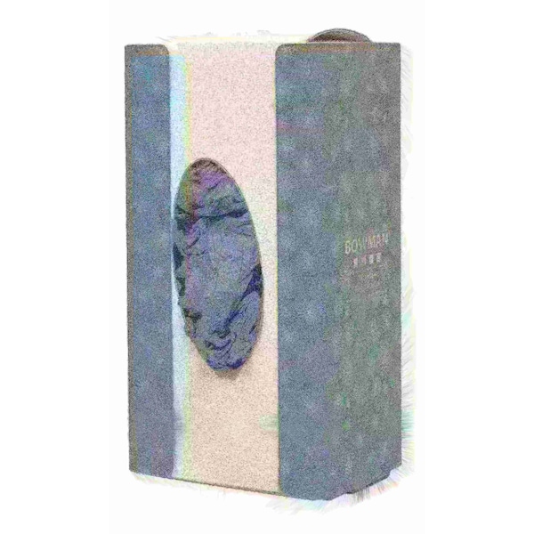 Bowman Dispensers Glove/Tissue Box Dispenser - Single-Designer-Starburst GL111-P006 - main